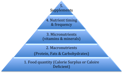 Bodybuilding Diets Don't Work Part 2 - Exceed Nutrition - Online ...