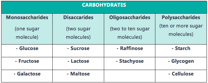 A table diagram showing the categories of carbohydrates