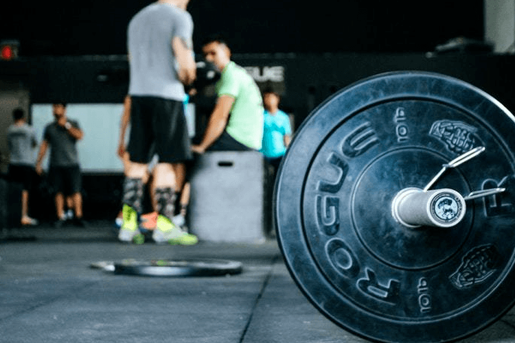 Protein for athletic power and strength